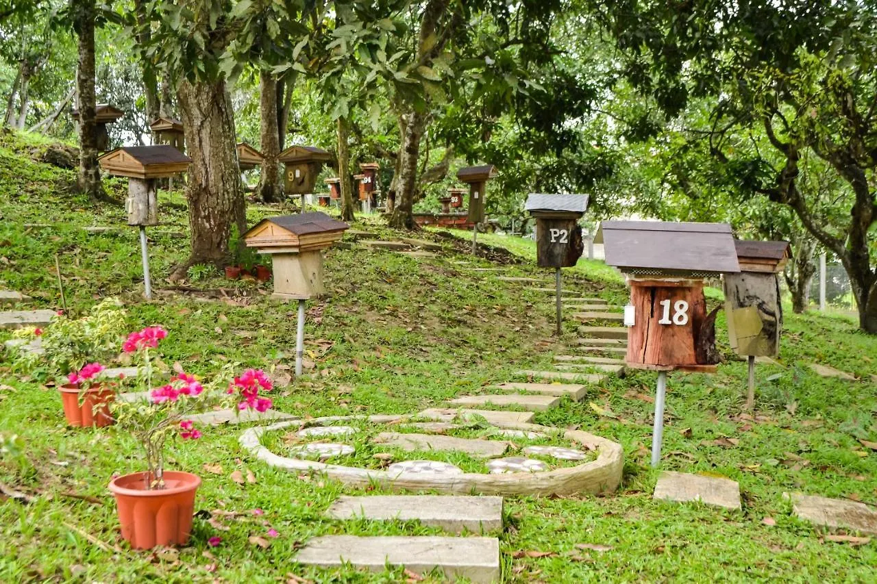 *** Guest house Qi Hotel And Club Kota Kinabalu Malaysia